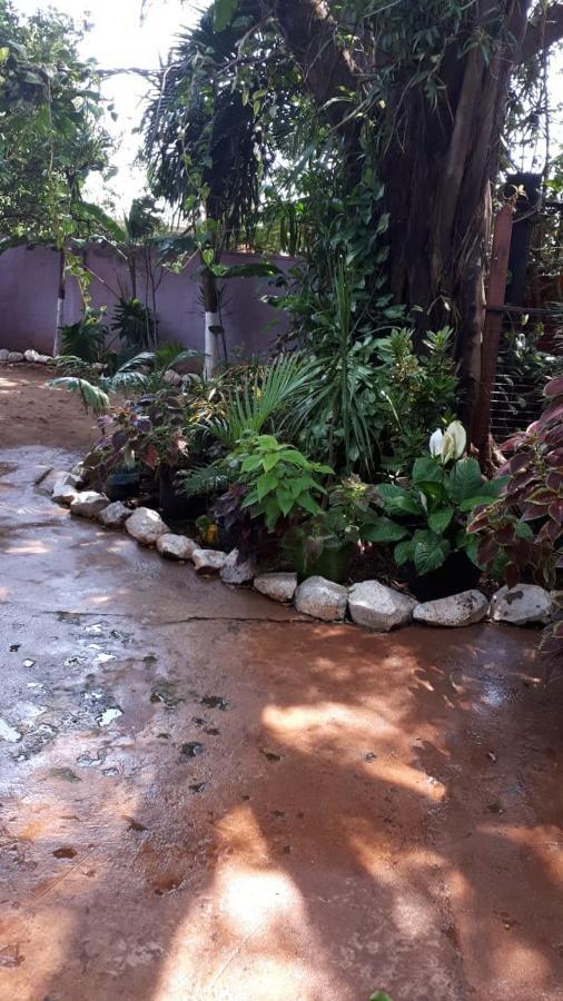 Flia Ocampo Apartman Puerto Iguazú Kültér fotó
